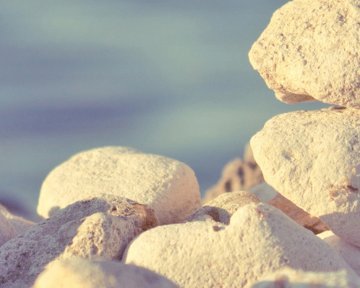 »Edini pogum, ki kaj šteje, je tisti, ki te popelje od danes do jutri.« M. Mclaughlin