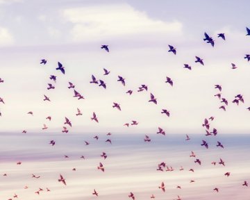 “Nič ni pomembnejše od današnjega dne.” - Goethe